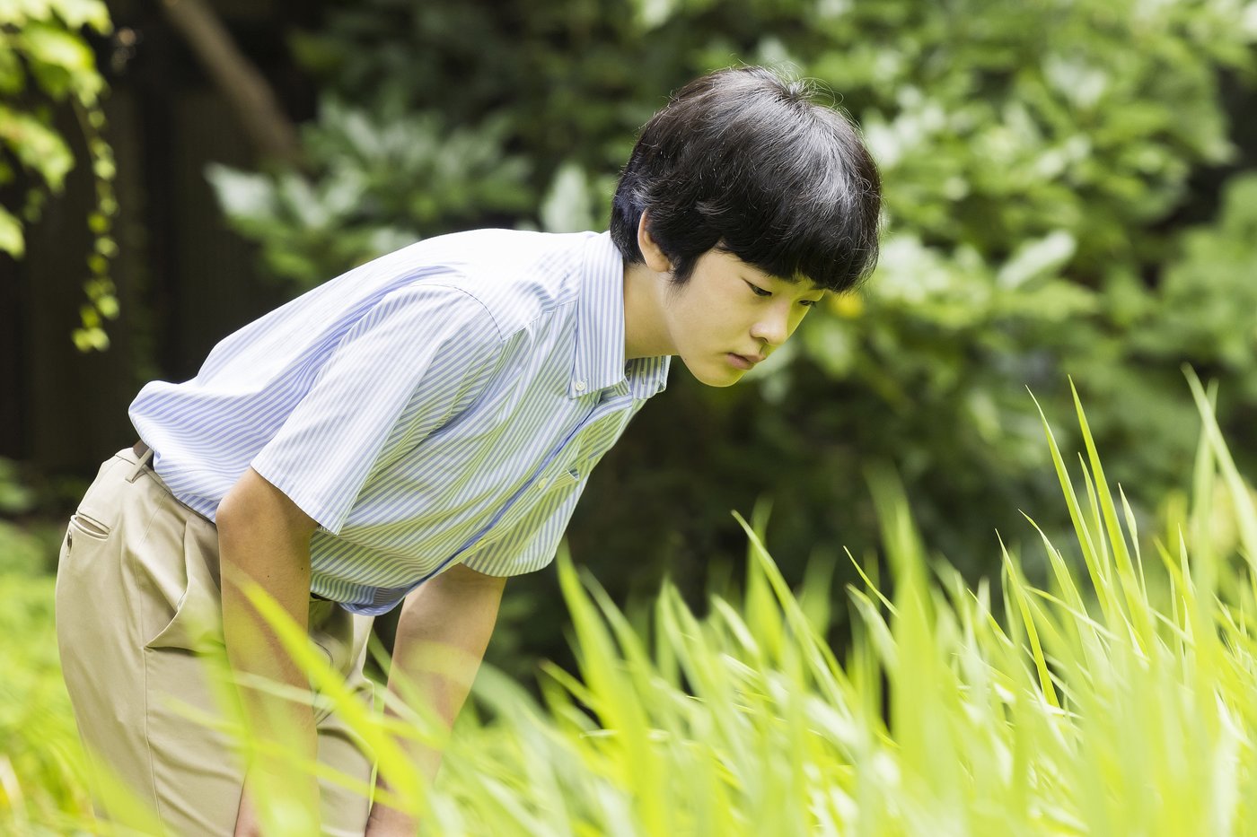 Japan's Prince Hisahito is the first male royal to reach adulthood in 40 years. He may be the last | iNFOnews.ca Japan's Prince Hisahito is the first male royal to reach adulthood in 40 years. He may be the last | iNFOnews.ca