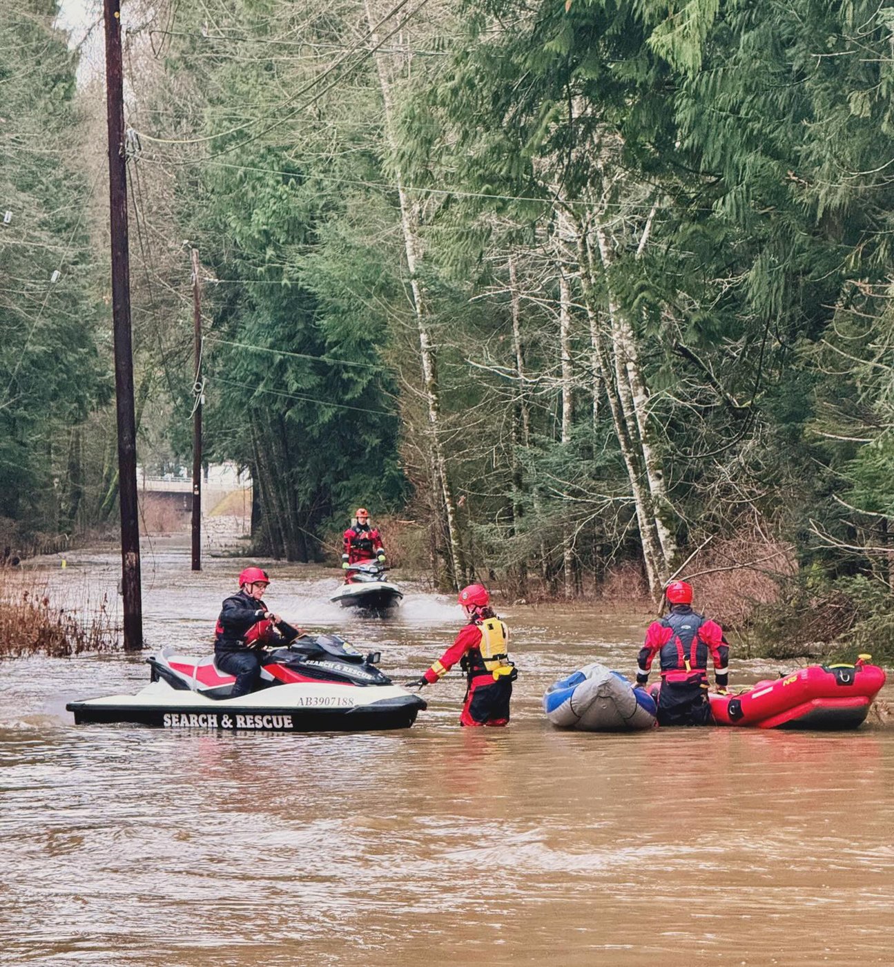 Vancouver Island rescuers helped people, sheep, dogs and cat after heavy rains | iNFOnews.ca