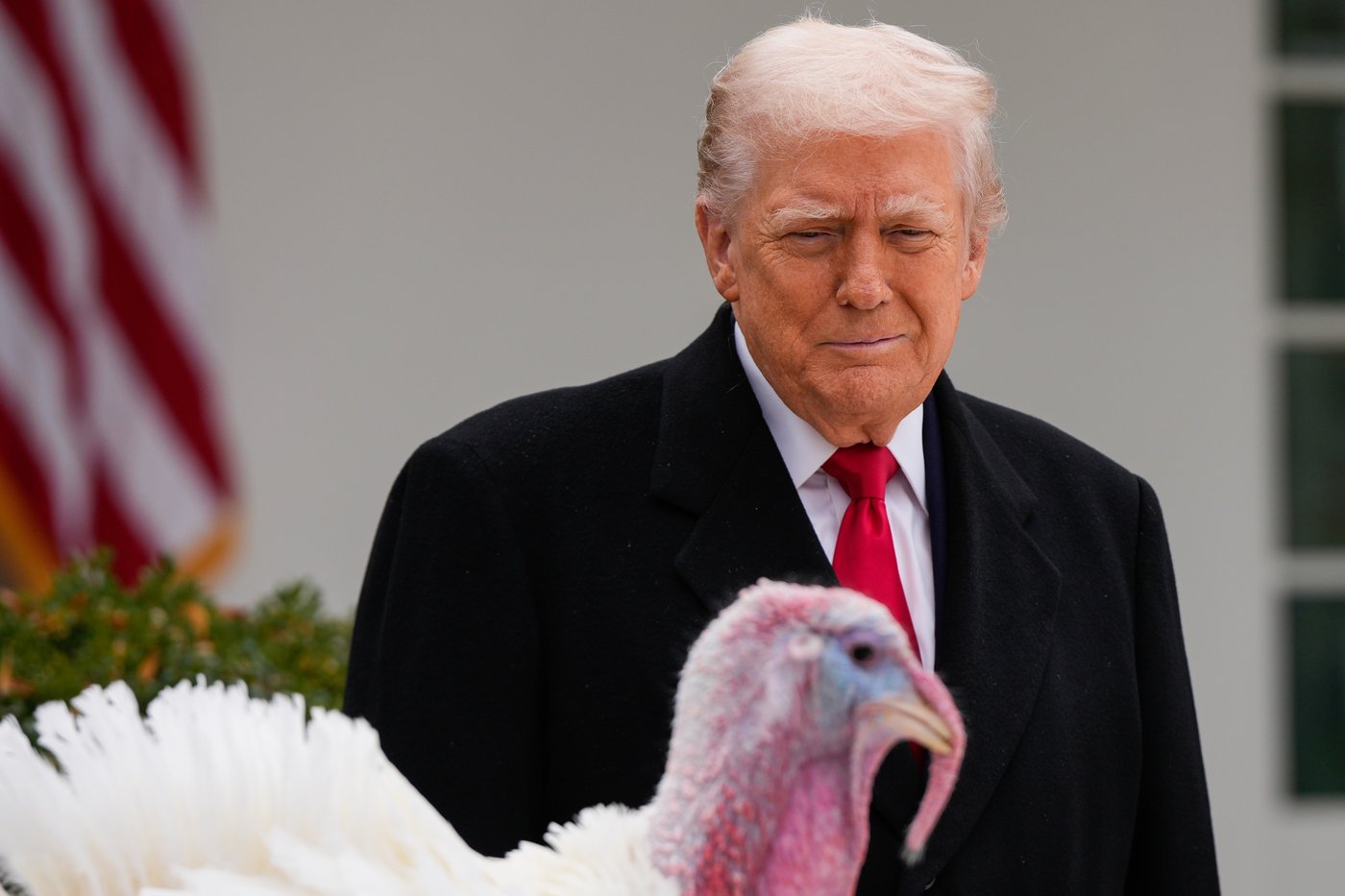 Trump spares turkeys - but not his political opponents - at annual pardoning ceremony | iNFOnews.ca