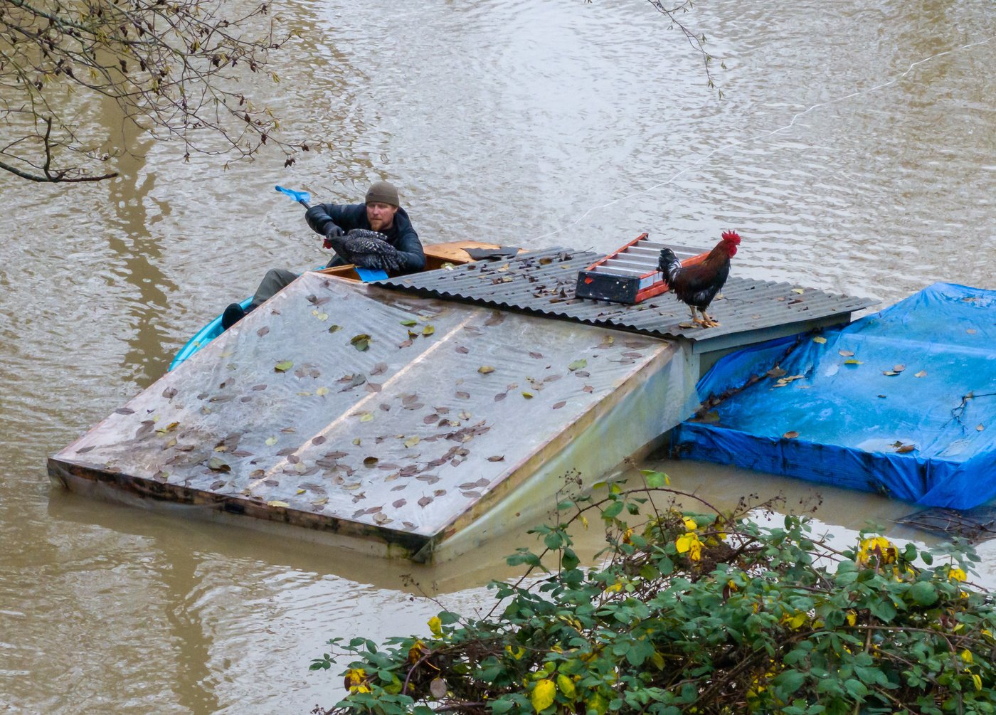 Record floods in Washington state trigger dramatic rescues and evacuations | iNFOnews.ca Record floods in Washington state trigger dramatic rescues and evacuations | iNFOnews.ca