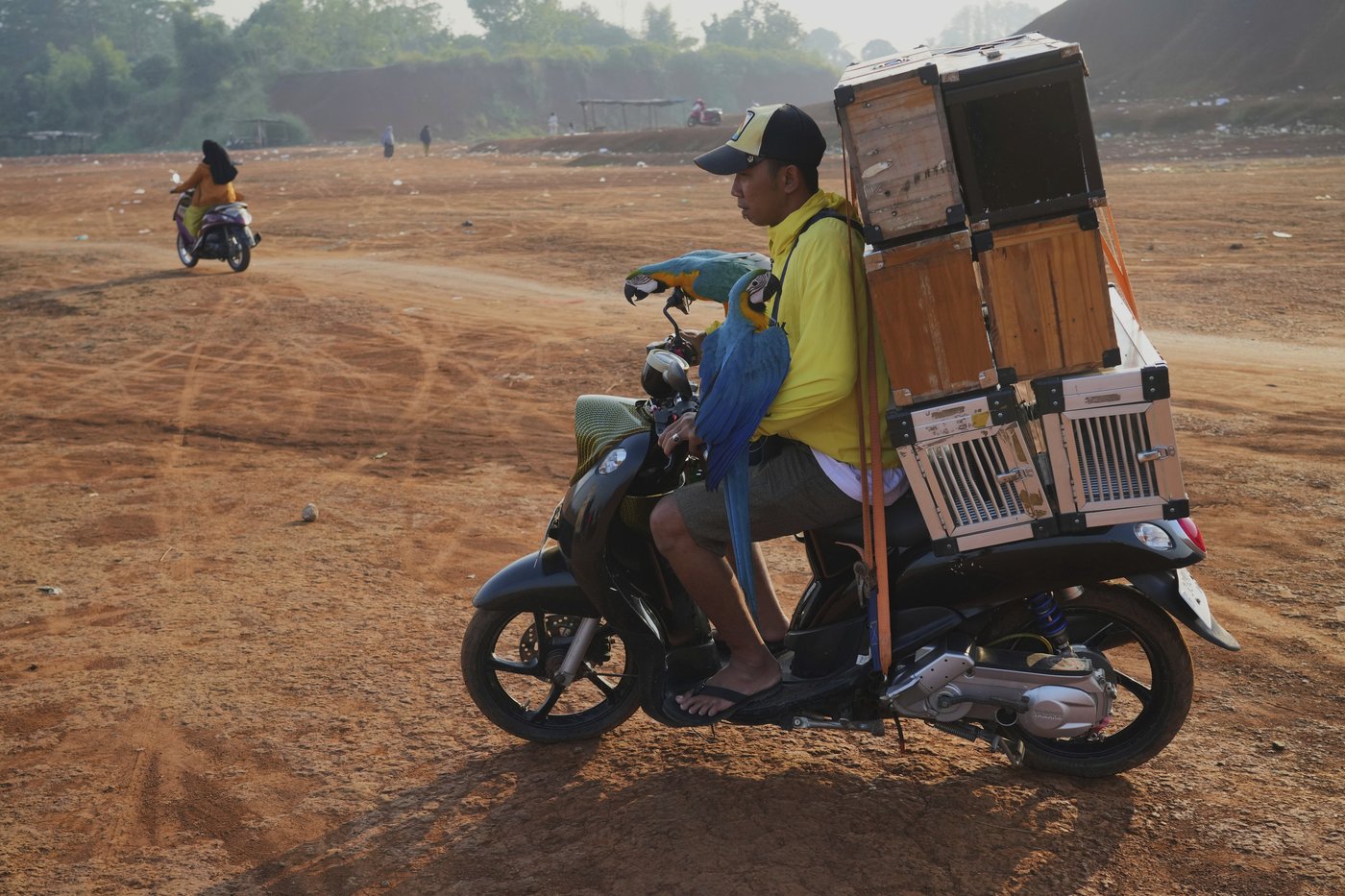 Photos show how an Indonesian motorbike mechanic became a macaw trainer | iNFOnews.ca