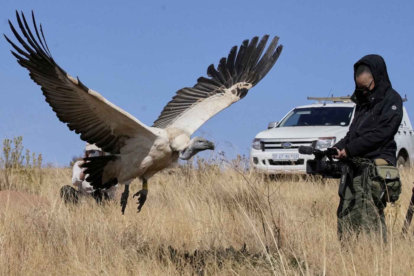 Sebabatso Mosamo, an AP visual journalist in South Africa, has died | iNFOnews.ca