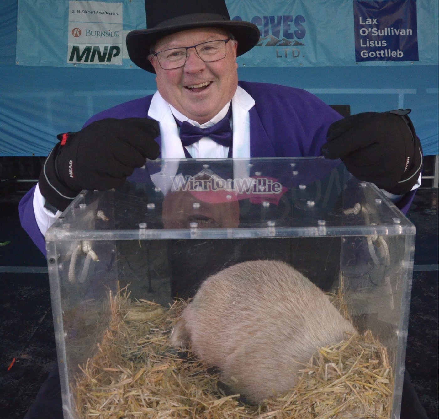 Groundhog Day 2026: Willie in Ontario, Fred in Quebec predict early spring's arrival | iNFOnews.ca
