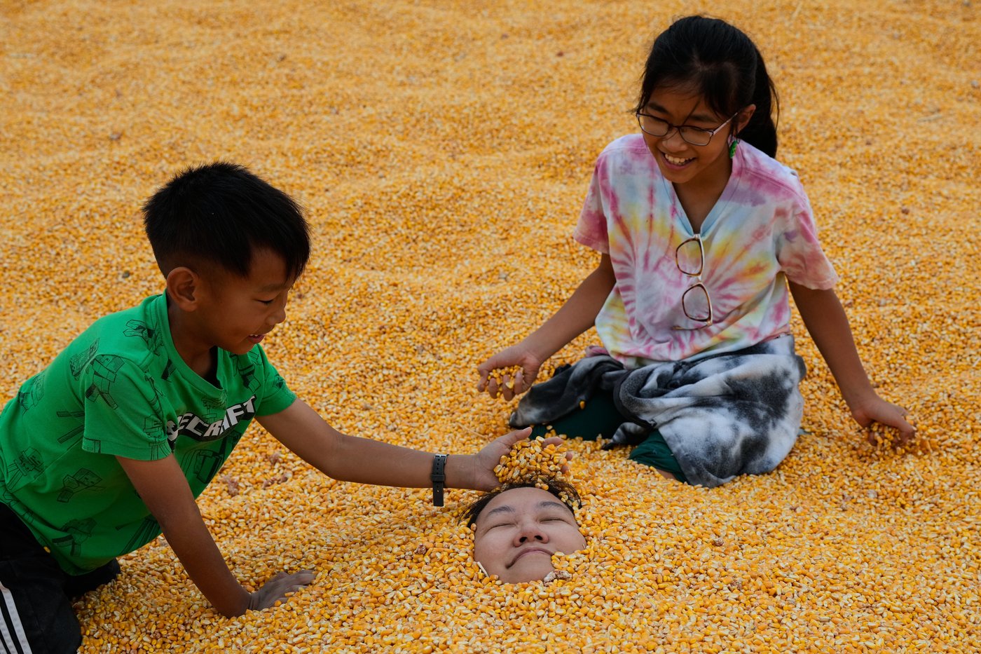 Giant Northern California corn maze lets visitors enjoy getting lost | iNFOnews.ca