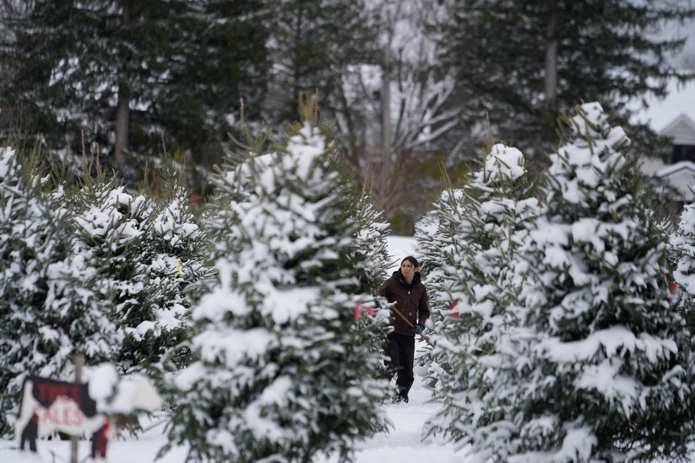 Post-Thanksgiving travelers in Chicago see flights canceled and delayed after winter storm | iNFOnews.ca