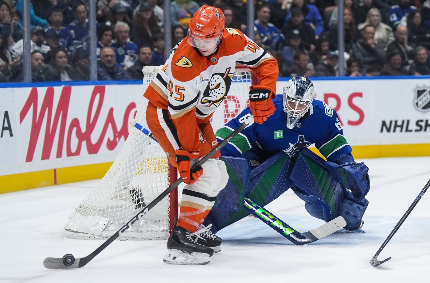 Tolopilo shines in Canucks win but denied shutout due to concussion protocol | iNFOnews.ca