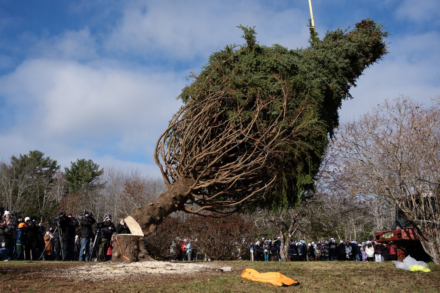 Photo Gallery: Annual N.S. Christmas tree gift en route to Boston | iNFOnews.ca