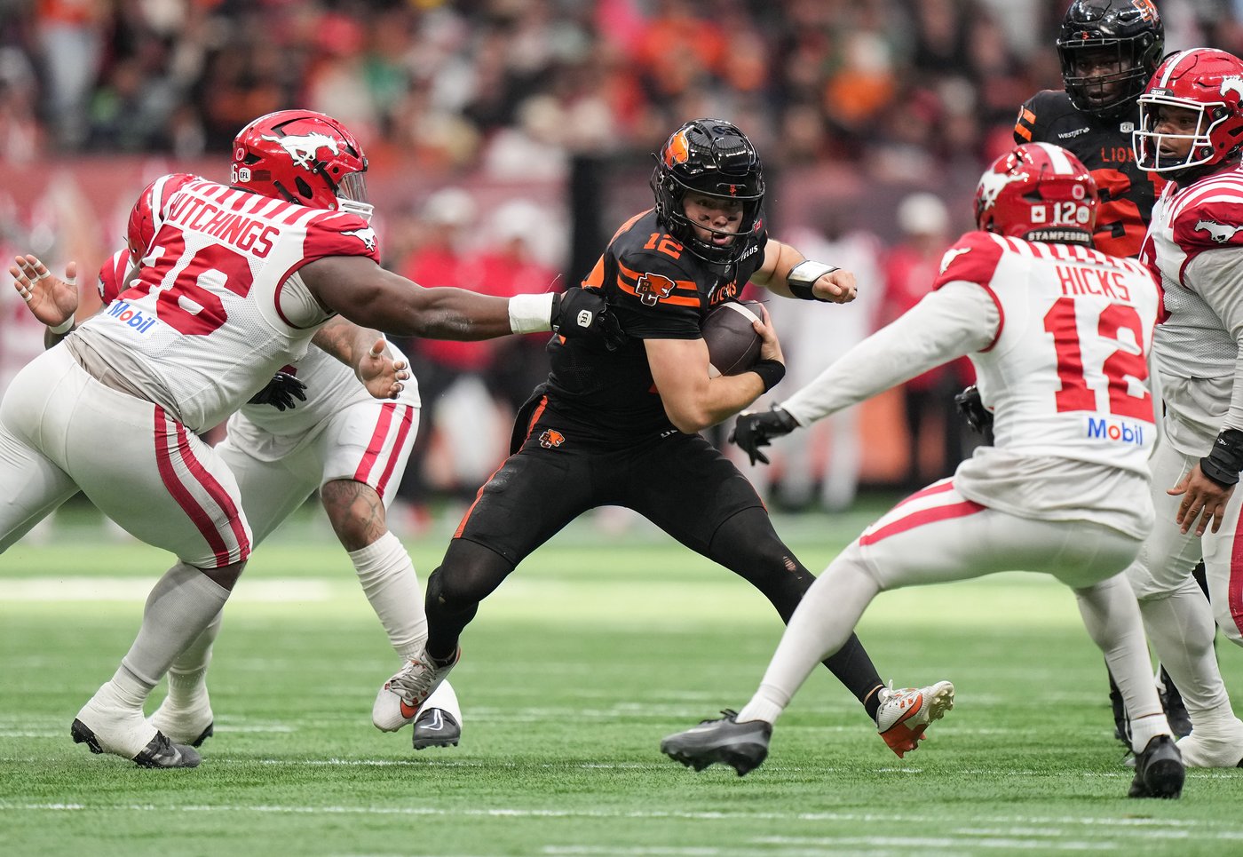 Whyte's walk-off field goal gives Lions 33-30 win over Stampeders in West semifinal | iNFOnews.ca Whyte's walk-off field goal gives Lions 33-30 win over Stampeders in West semifinal | iNFOnews.ca