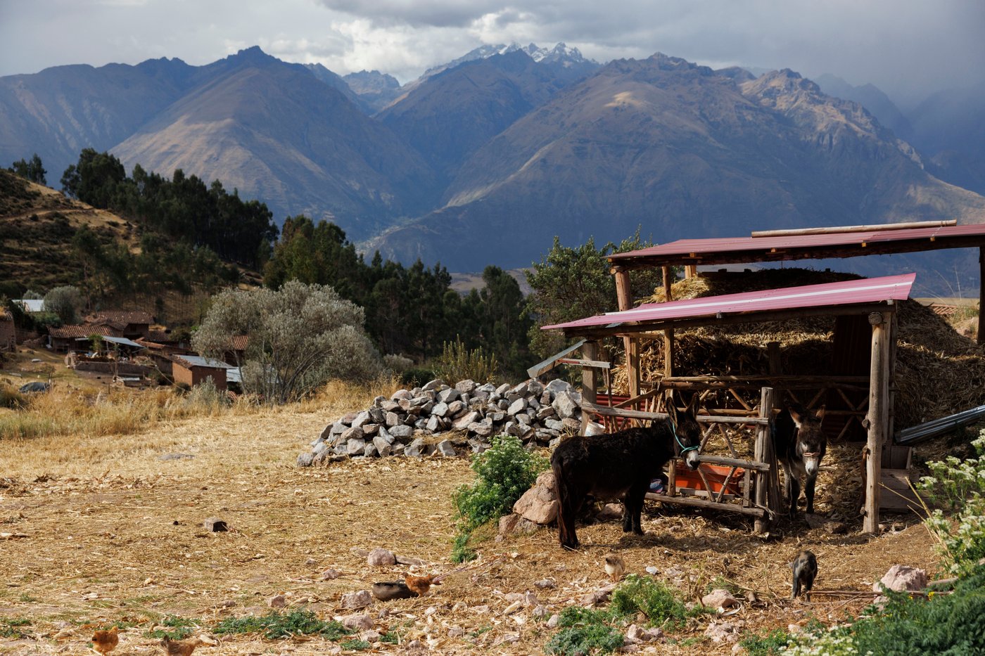 High in Peru’s Andes, villagers carry out centuries-old work of collecting salt, in photos | iNFOnews.ca High in Peru’s Andes, villagers carry out centuries-old work of collecting salt, in photos | iNFOnews.ca