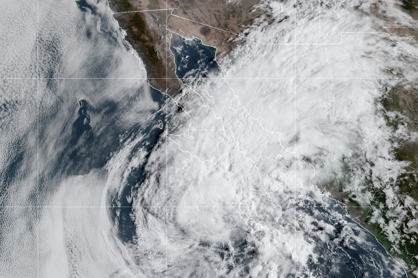 Hurricane Kiko surges back to a Category 4 as forecasters monitor potential impacts on Hawaii | iNFOnews.ca