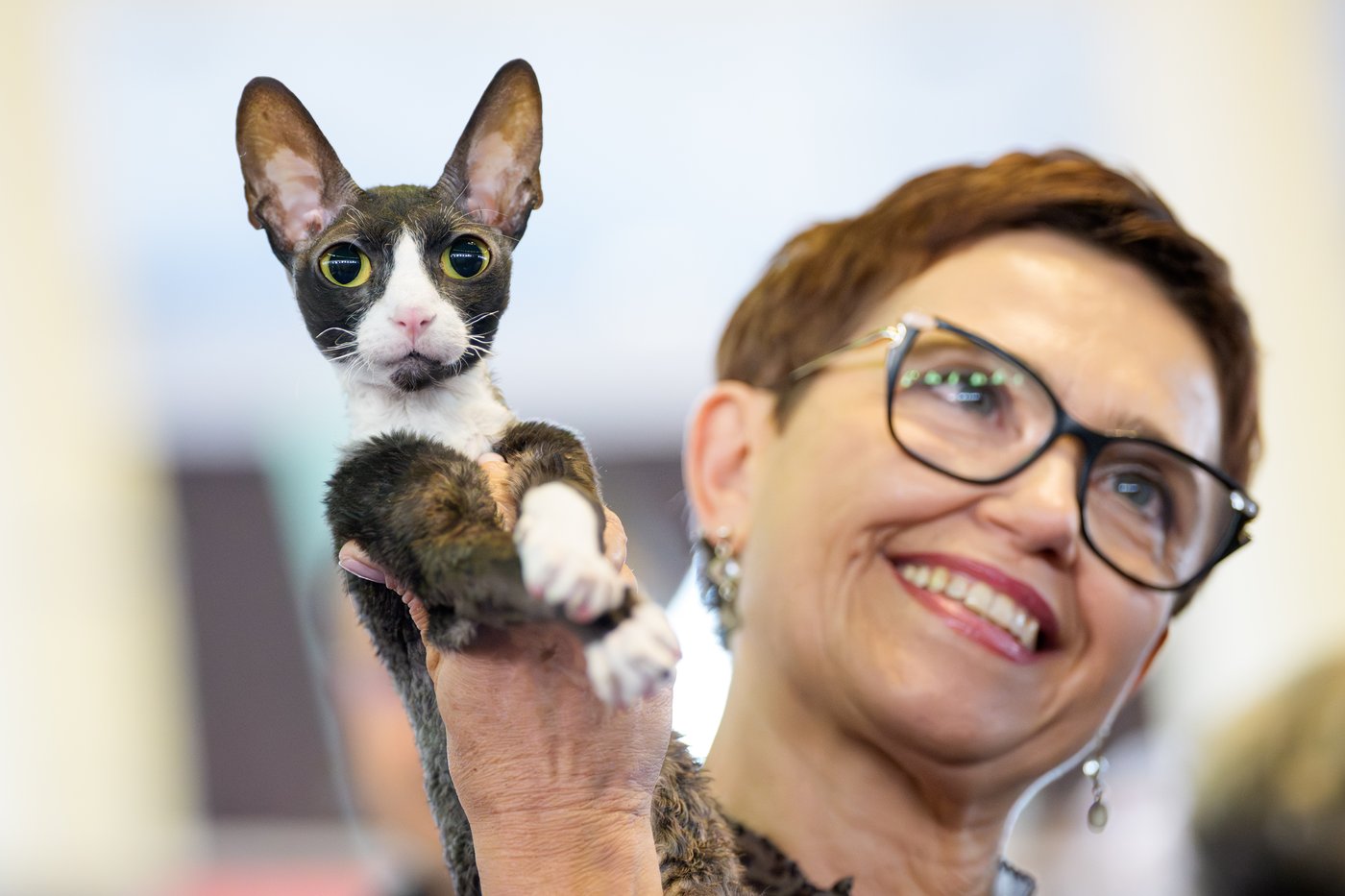 Photos from the world's largest cat show, as 1,000 felines and their fans gather in Romania | iNFOnews.ca