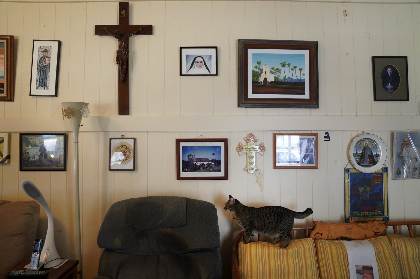 Guided tours resume at the remote Hawaii leprosy settlement of Kalaupapa | iNFOnews.ca