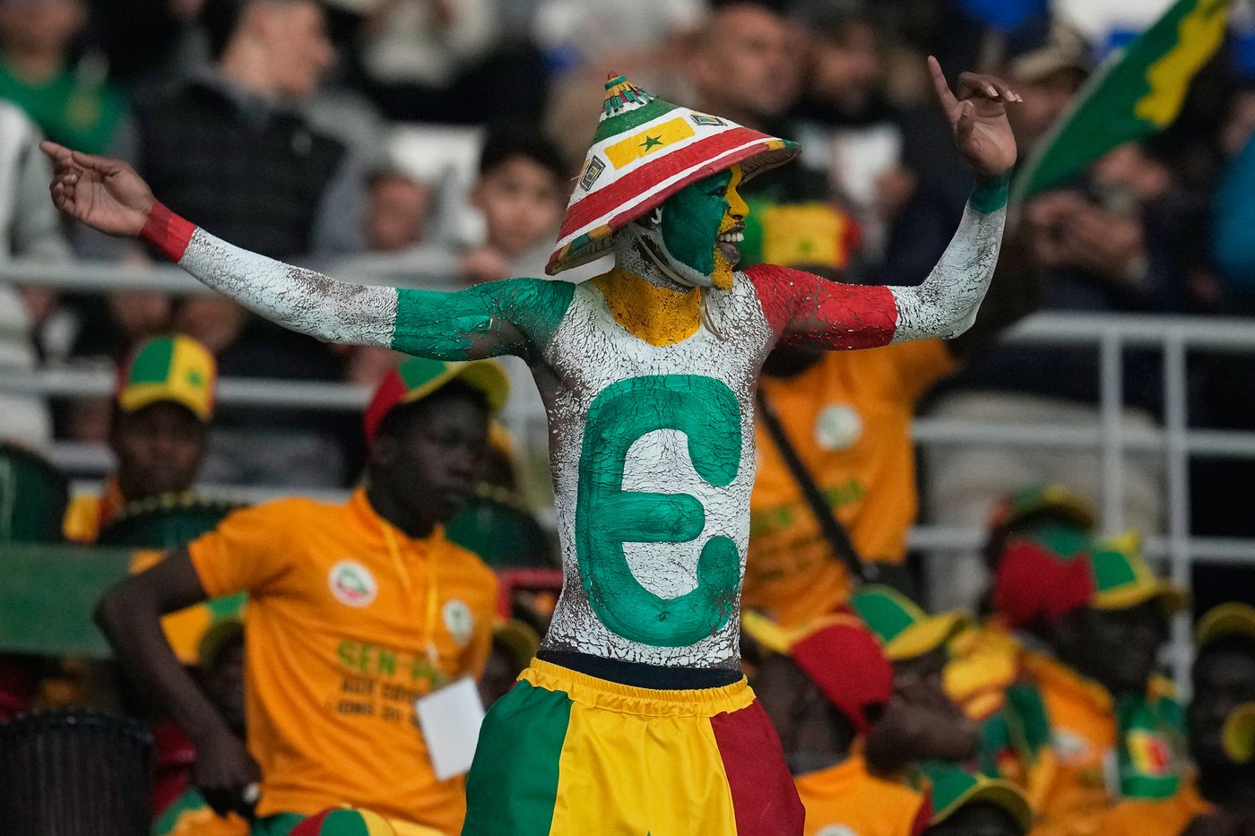 Lions roar and Eagles fly: All the 24 teams' nicknames at the Africa Cup of Nations | iNFOnews.ca