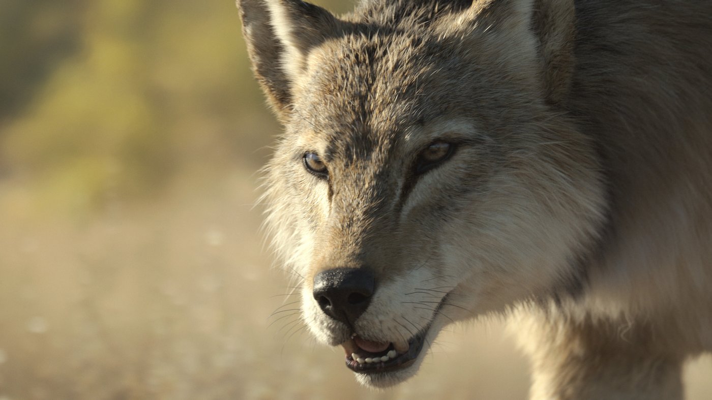 A foot-tall elephant? 'Prehistoric Planet: Ice Age' on Apple TV reveals surprising creatures | iNFOnews.ca