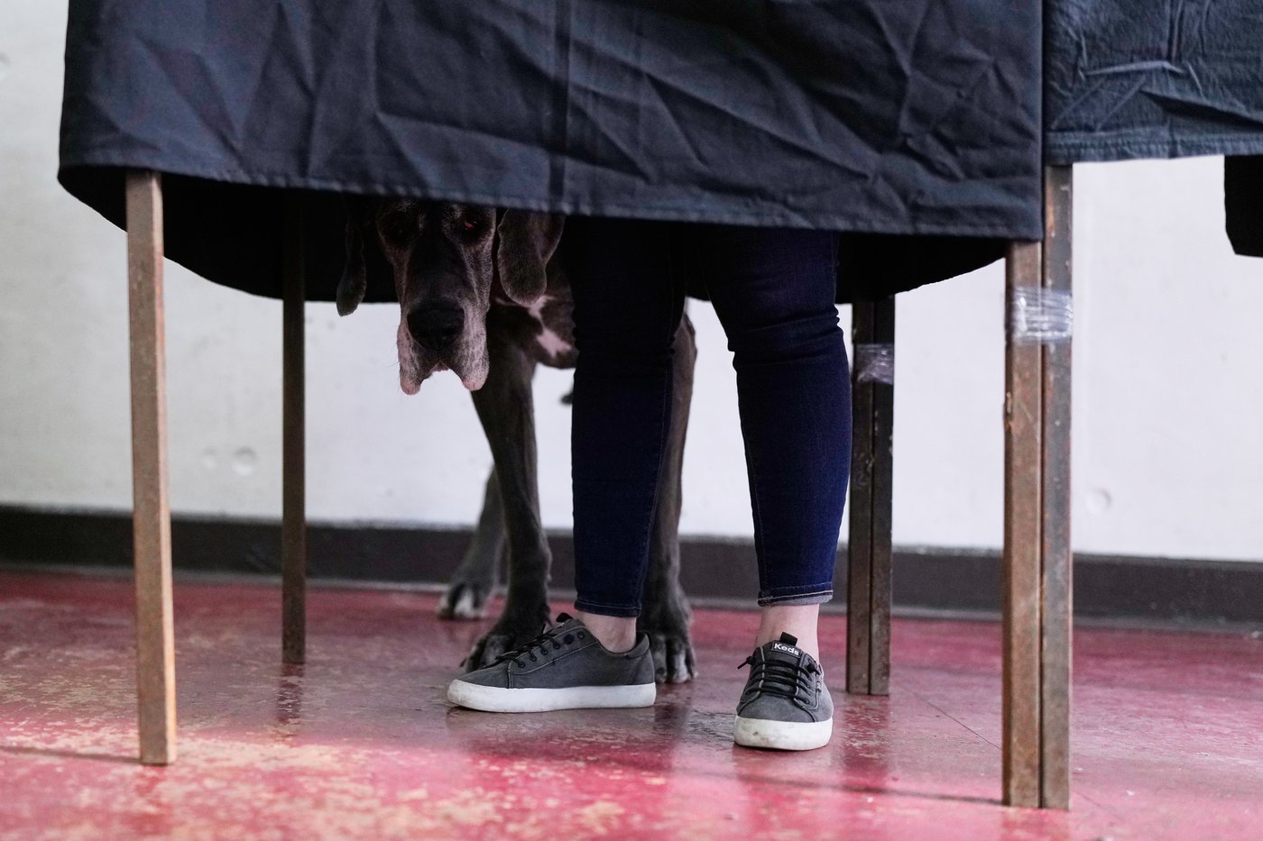 Photos of voters taking part in Chile's runoff presidential election | iNFOnews.ca