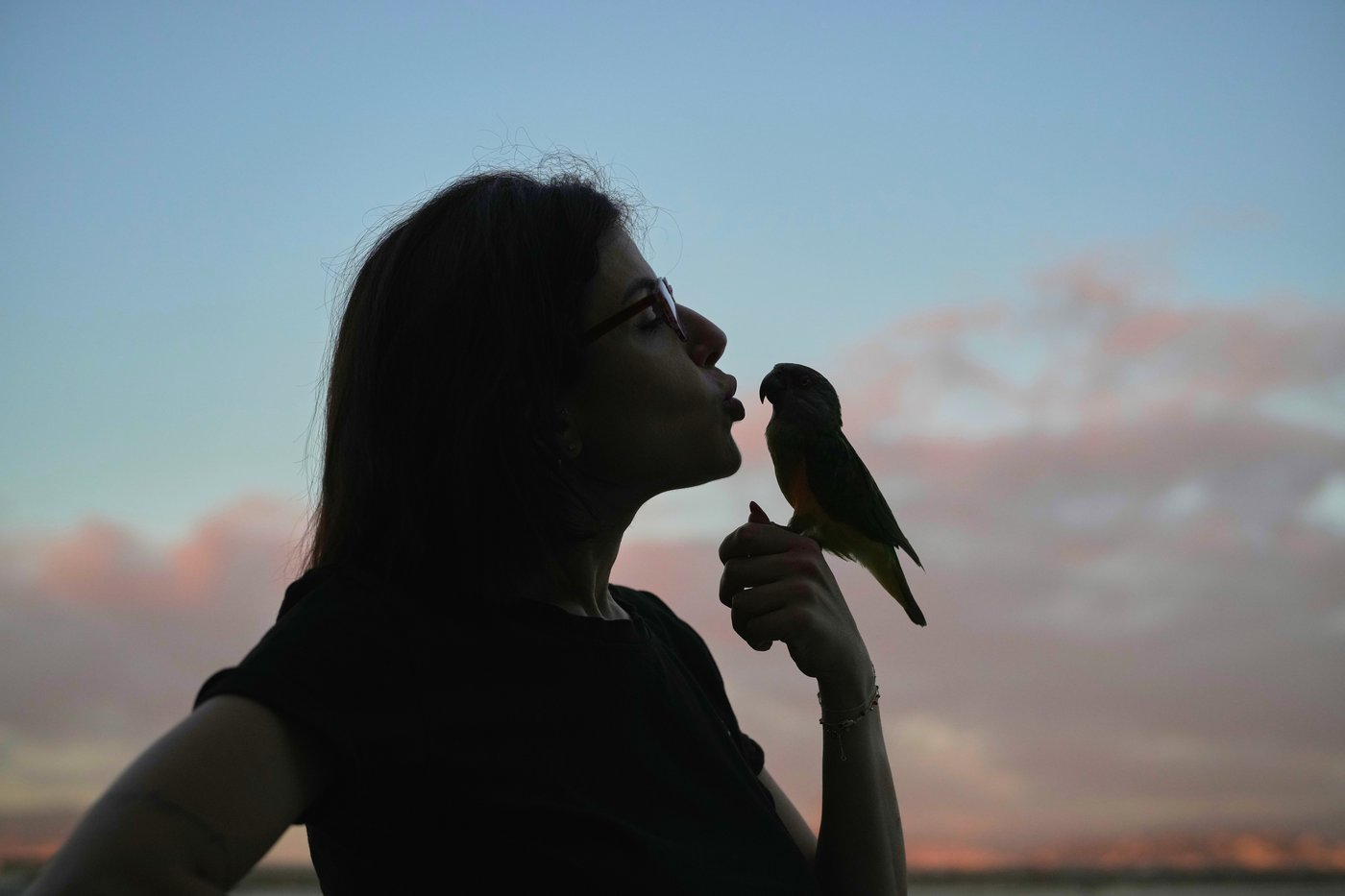 Photos of a Beirut woman's rooftop sanctuary for pigeons | iNFOnews.ca