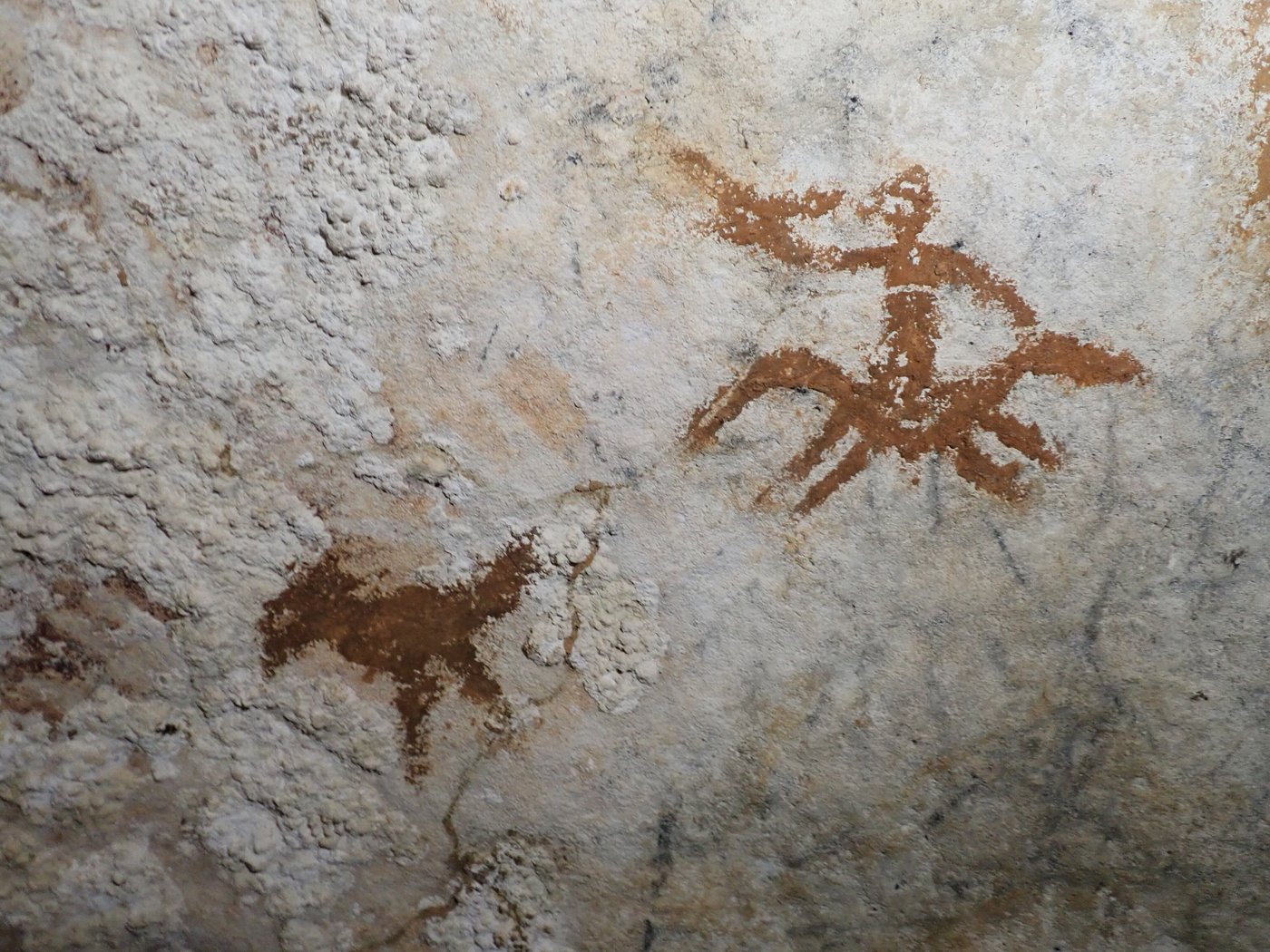 Indonesian handprints are the oldest cave art found yet | iNFOnews.ca