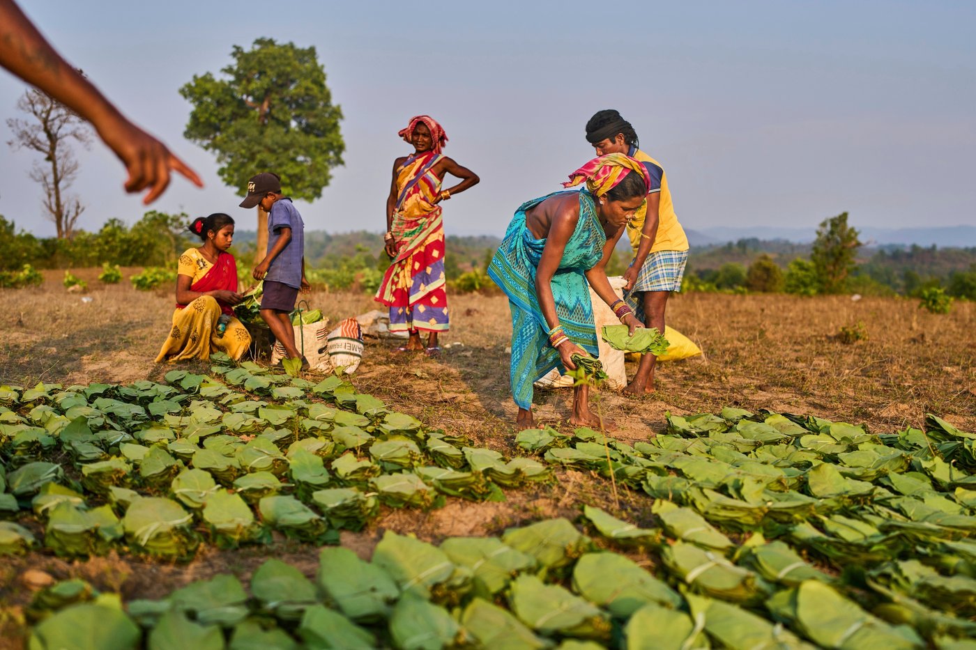 AP photographers capture destruction, heartache and resilience as climate change advanced in 2025 | iNFOnews.ca AP photographers capture destruction, heartache and resilience as climate change advanced in 2025 | iNFOnews.ca
