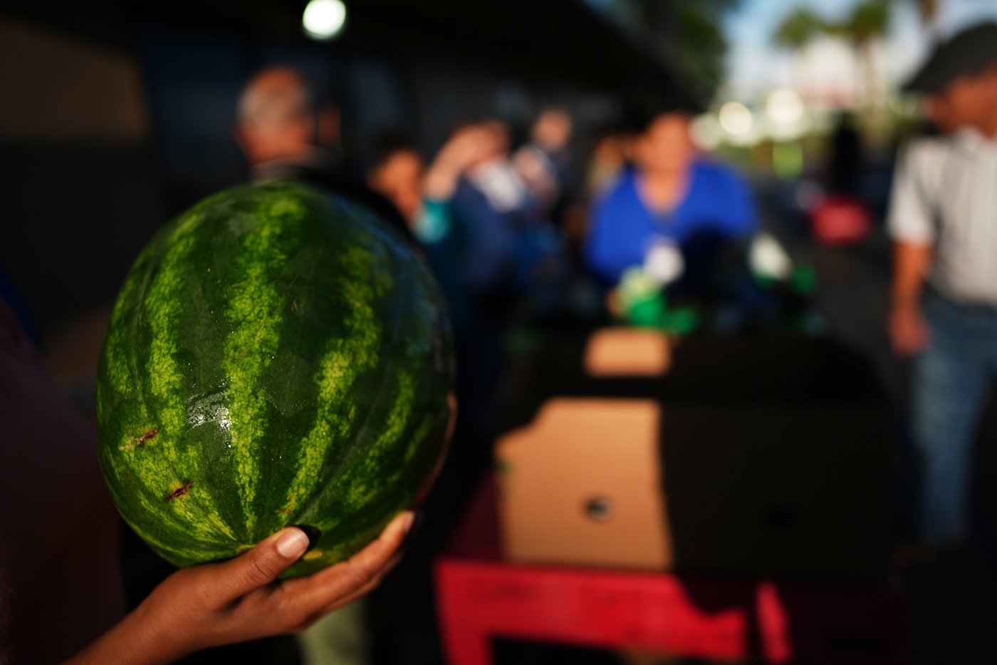 PHOTO ESSAY: An influx of immigrants boosted Orlando's economy but many now fear detention | iNFOnews.ca