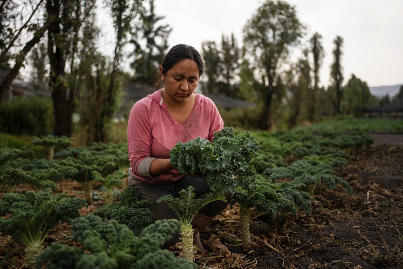 Women in Mexico step up to protect ancient Aztec farms and save a vanishing ecosystem | iNFOnews.ca