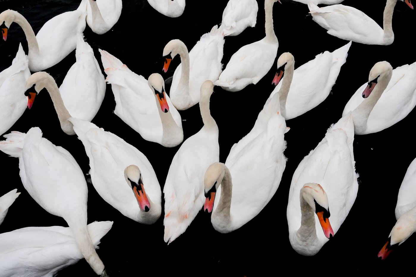 The top photos of the day by AP's photojournalists | iNFOnews.ca