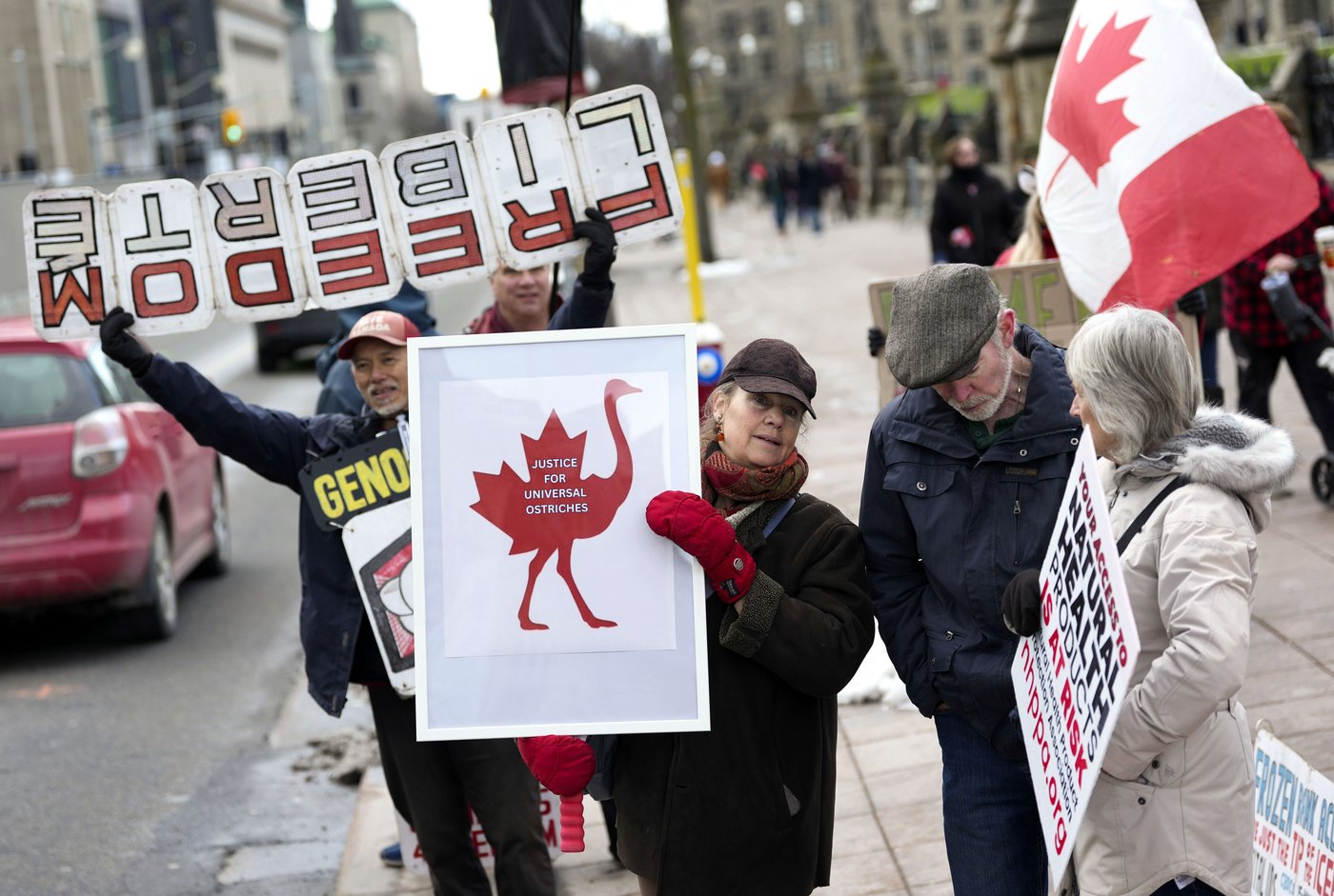 Months after B.C. ostrich cull, why does protest movement persist? | iNFOnews.ca