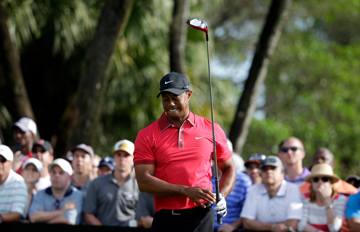 Tiger Woods has a seventh back surgery to have disk replaced | iNFOnews.ca