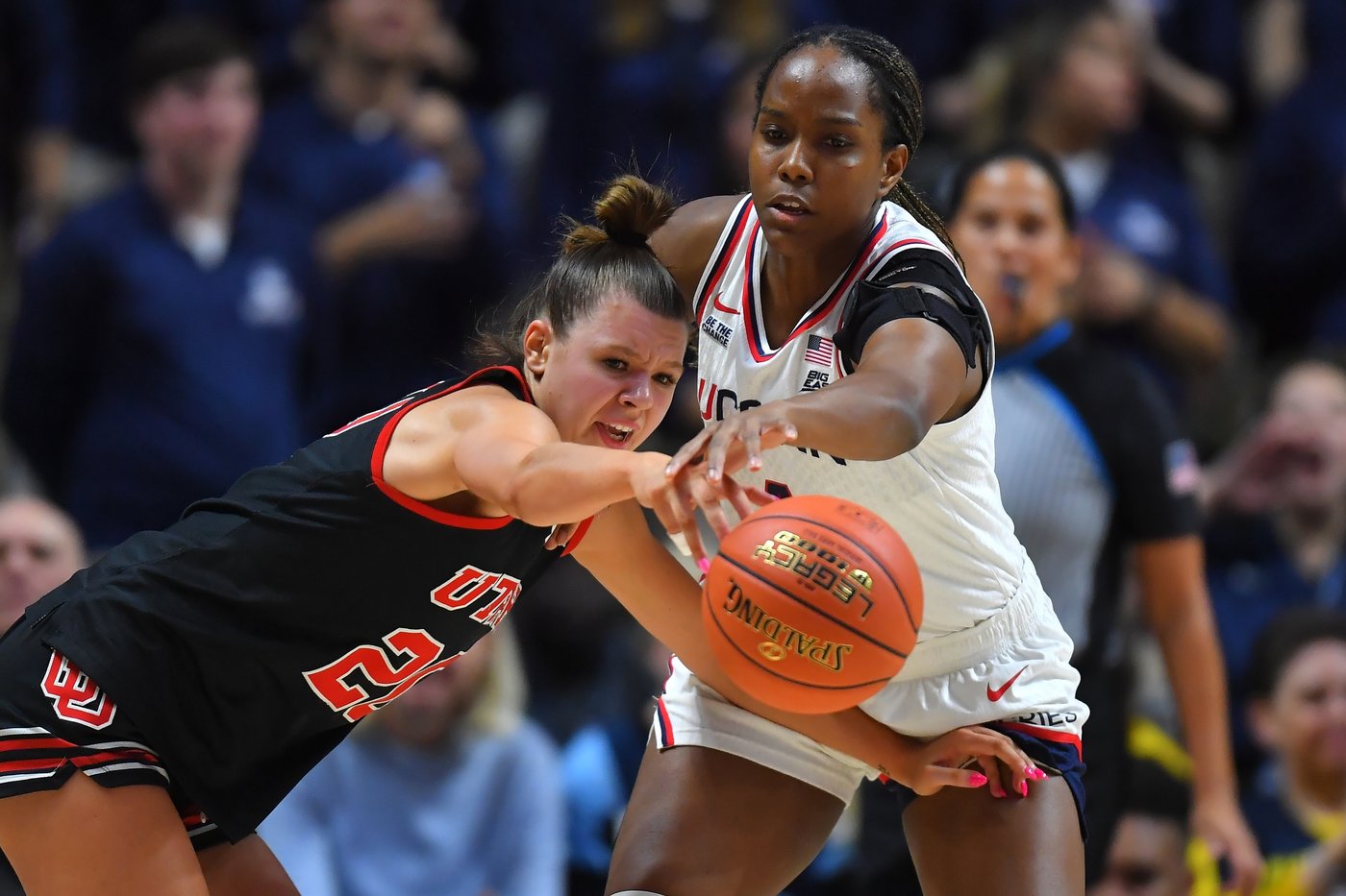 Fudd's 24 points leads top-ranked UConn past Utah 93-41 in Hall of Fame Women's Showcase | iNFOnews.ca Fudd's 24 points leads top-ranked UConn past Utah 93-41 in Hall of Fame Women's Showcase | iNFOnews.ca
