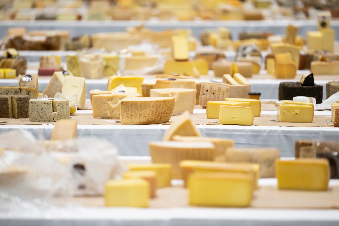Heady odors and sensory overload as 5,200 cheeses compete for the World Cheese Awards | iNFOnews.ca