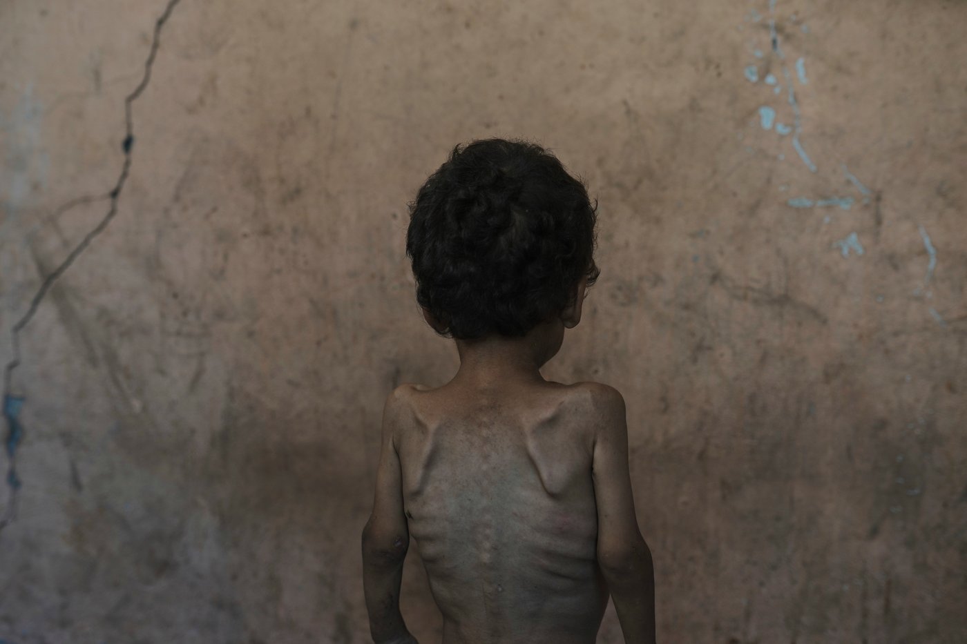 These numbers show how 2 years of war have devastated Palestinian lives in Gaza | iNFOnews.ca
