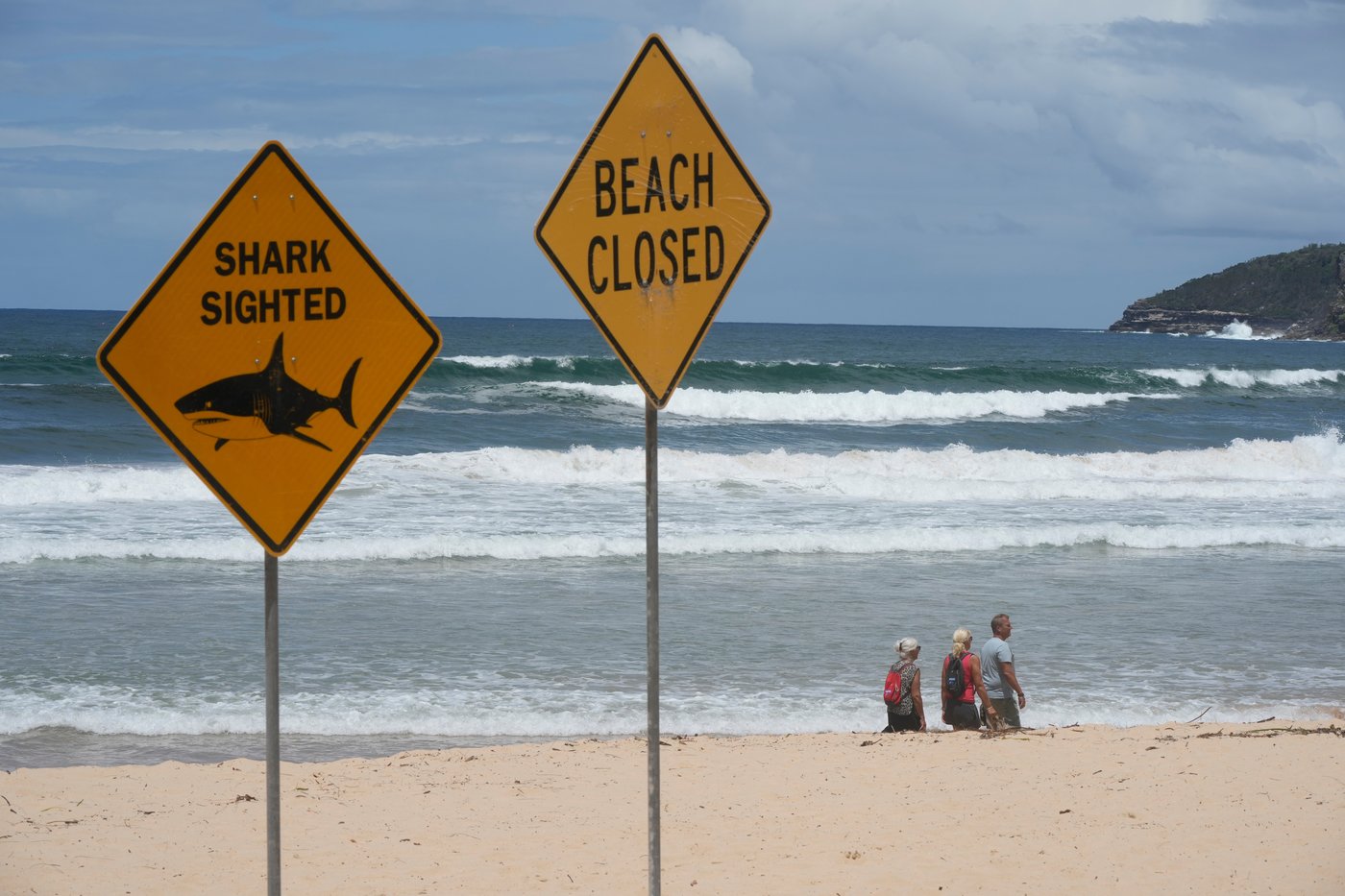 Surfer bitten in 4th shark attack off Australia's east coast in 3 days | iNFOnews.ca