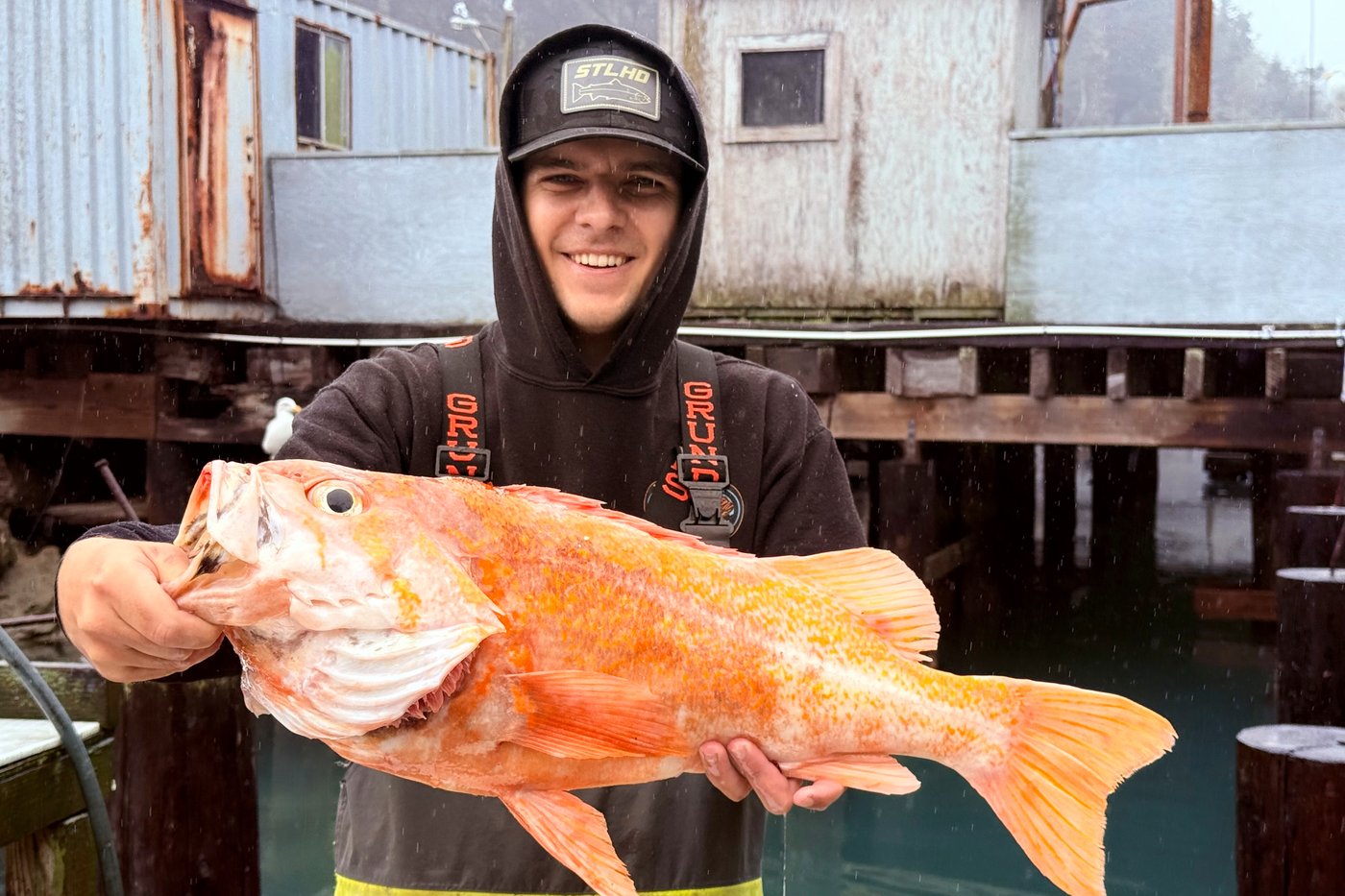 A California fisherman may have broken records by catching a 10.25-pound canary rockfish | iNFOnews.ca