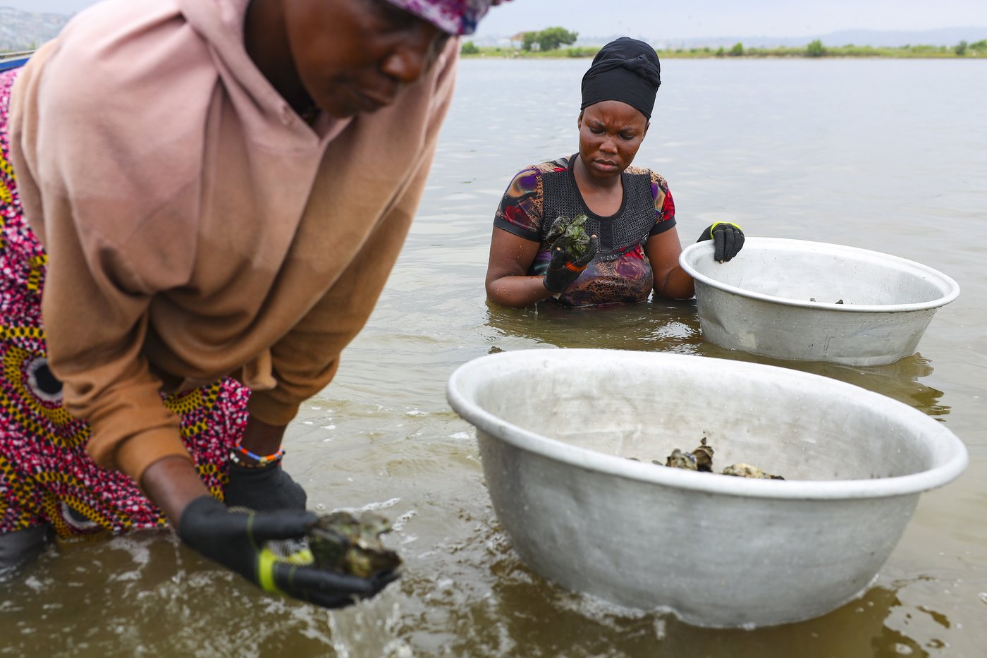 Photos show Ghana's female oyster farmers sustaining a generational practice | iNFOnews.ca