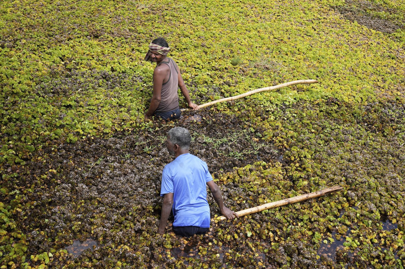 As climate risks grow, India's Bengaluru is trying to save its vanishing lakes | iNFOnews.ca As climate risks grow, India's Bengaluru is trying to save its vanishing lakes | iNFOnews.ca