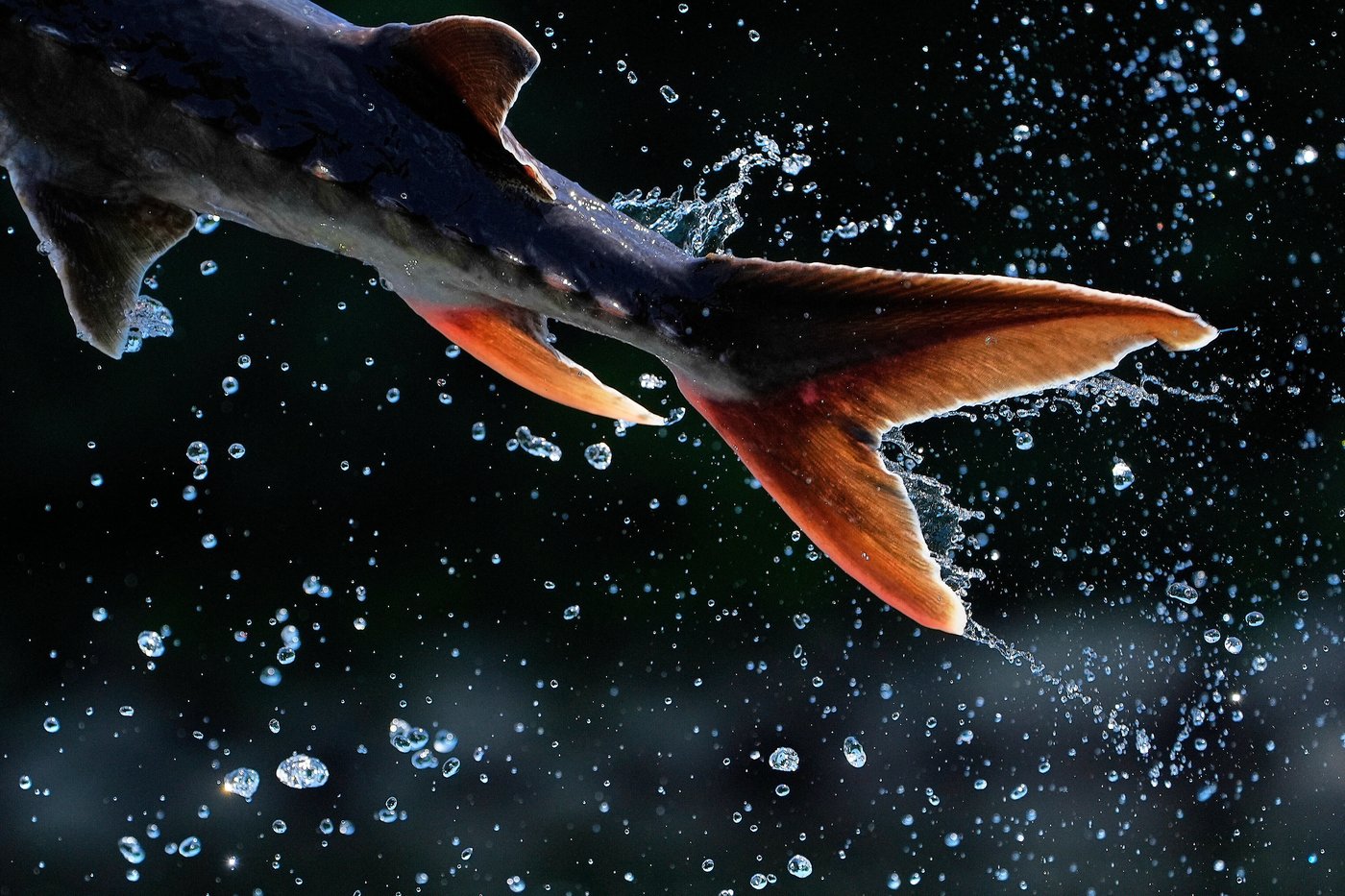 The top 100 photos of 2025 from The Associated Press: Images that defined the year | iNFOnews.ca