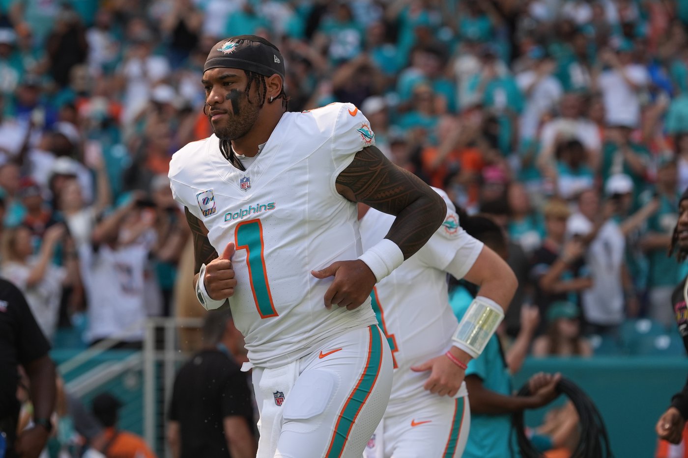 Dolphins, Browns look to get back on track when they meet on Sunday | iNFOnews.ca Dolphins, Browns look to get back on track when they meet on Sunday | iNFOnews.ca