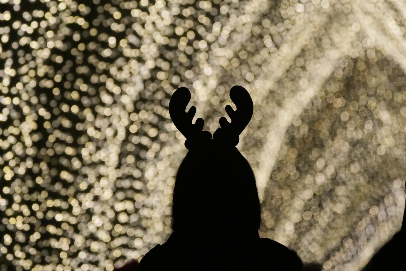 Golden Gate Park's dazzling holiday light display brings joy to the season | iNFOnews.ca