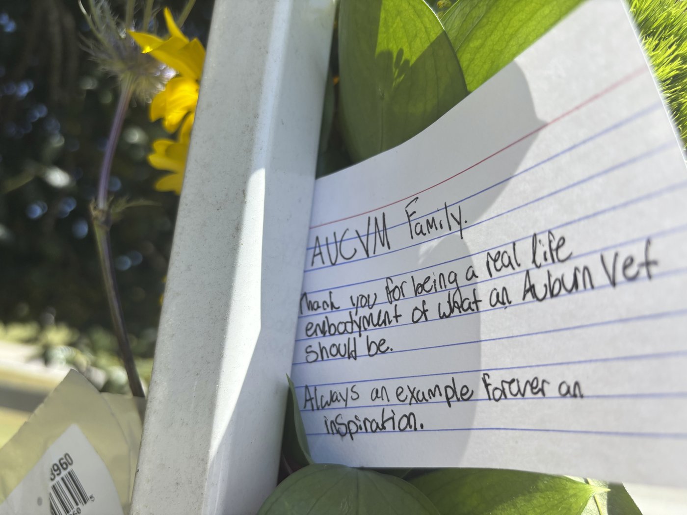 Killing of former Auburn professor at city park shakes community | iNFOnews.ca Killing of former Auburn professor at city park shakes community | iNFOnews.ca