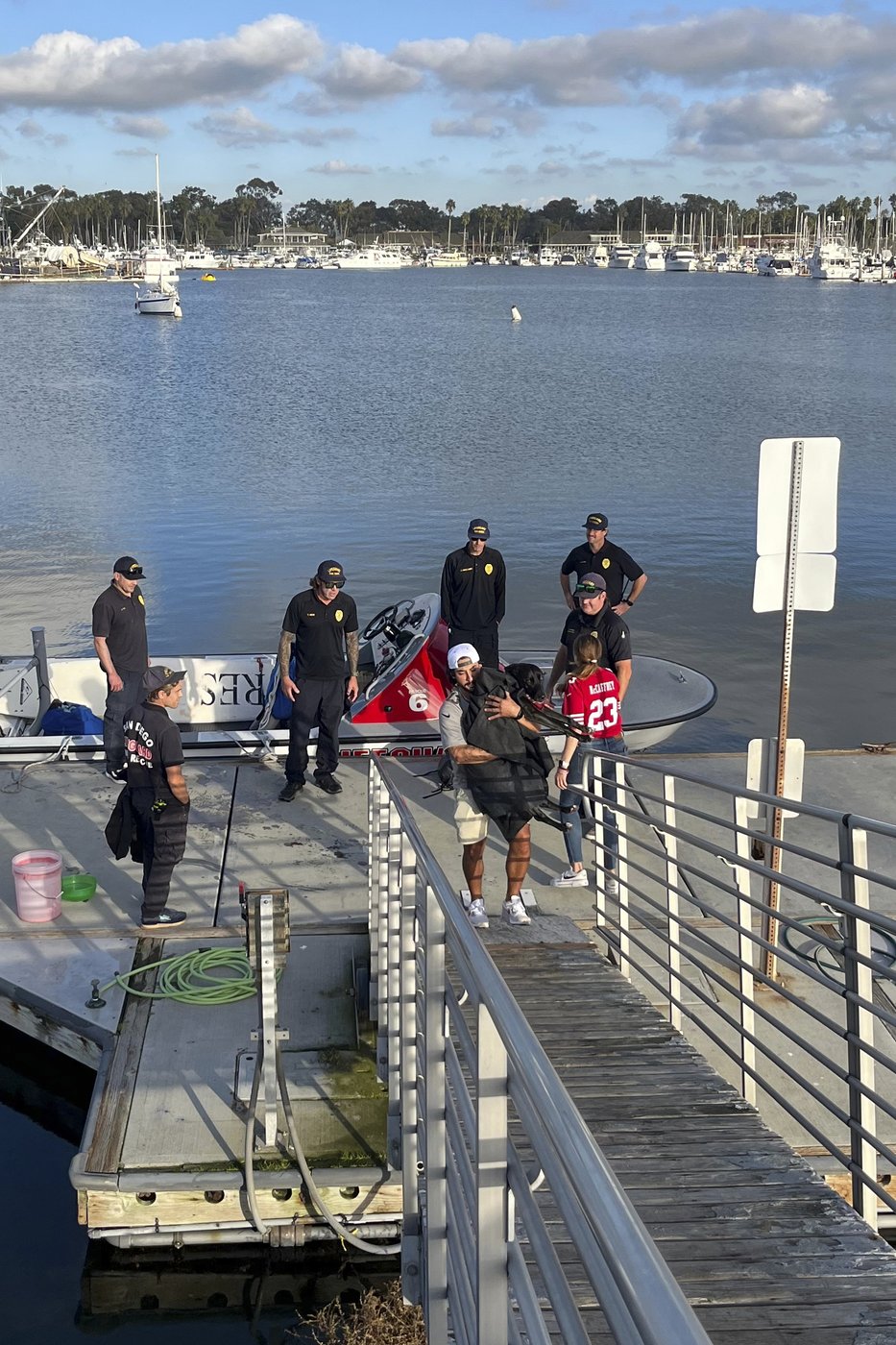 Lifeguards rescue dog swept out to sea by rip current off San Diego coast | iNFOnews.ca