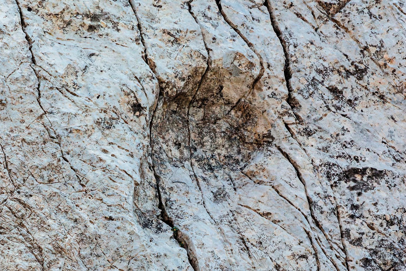 A photographer finds thousands of dinosaur footprints near Italian Winter Olympic venue | iNFOnews.ca