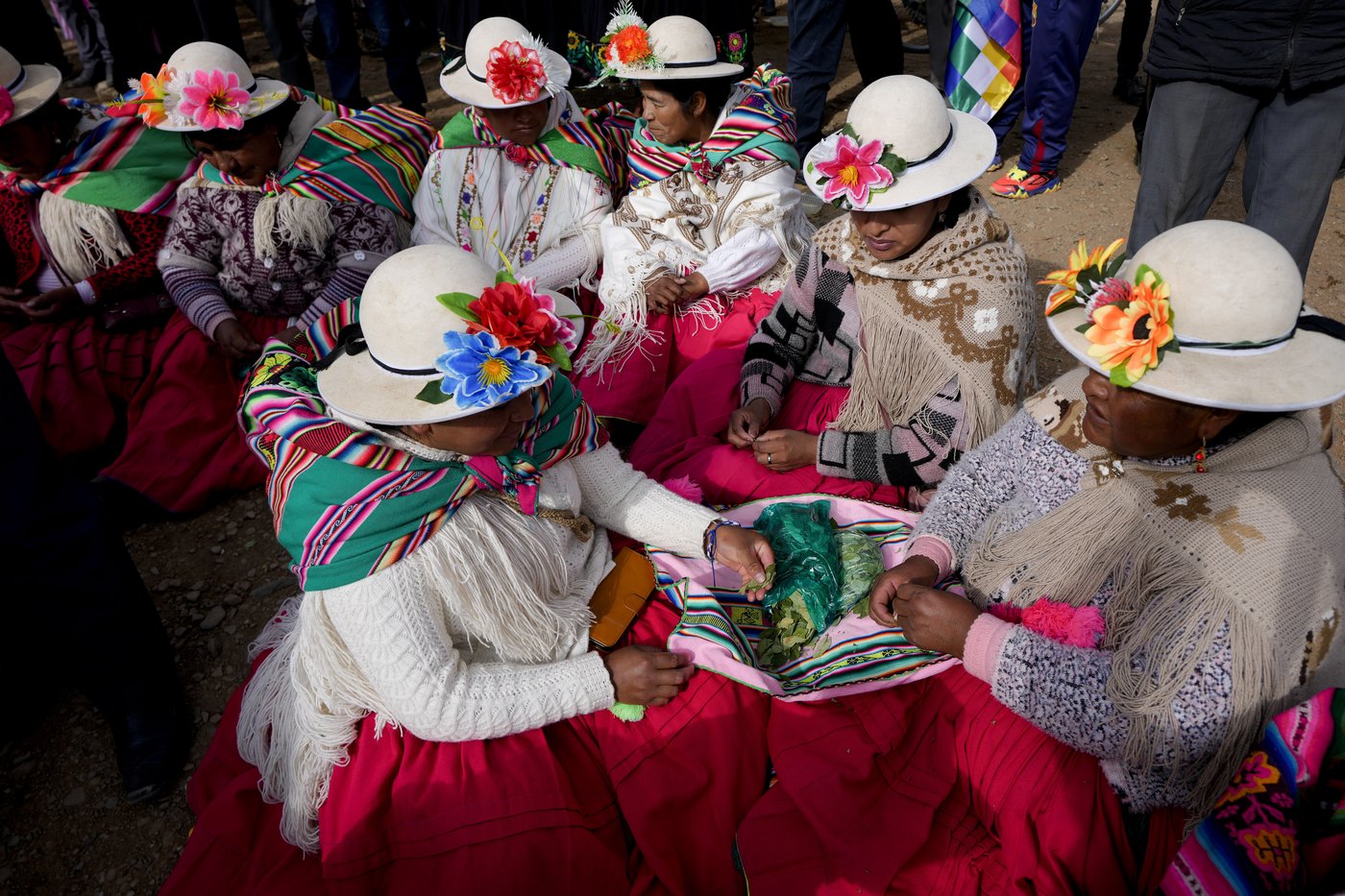 Coca leaves remain a source of work, faith and identity in Bolivia | iNFOnews.ca Coca leaves remain a source of work, faith and identity in Bolivia | iNFOnews.ca
