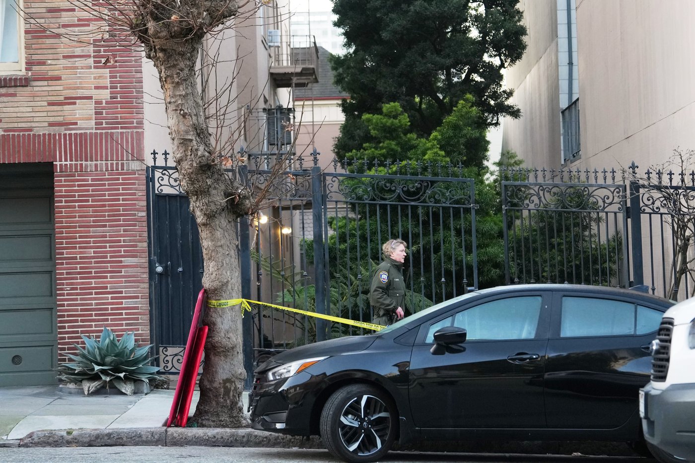 Mountain lion roams posh San Francisco neighborhood before being captured | iNFOnews.ca