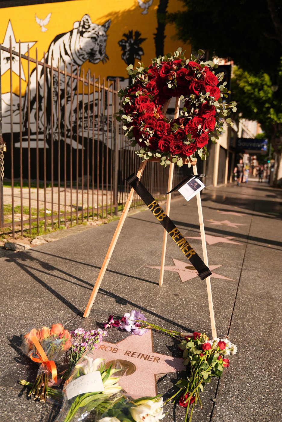 See the world in vertical: Top photos by AP's photojournalists | iNFOnews.ca