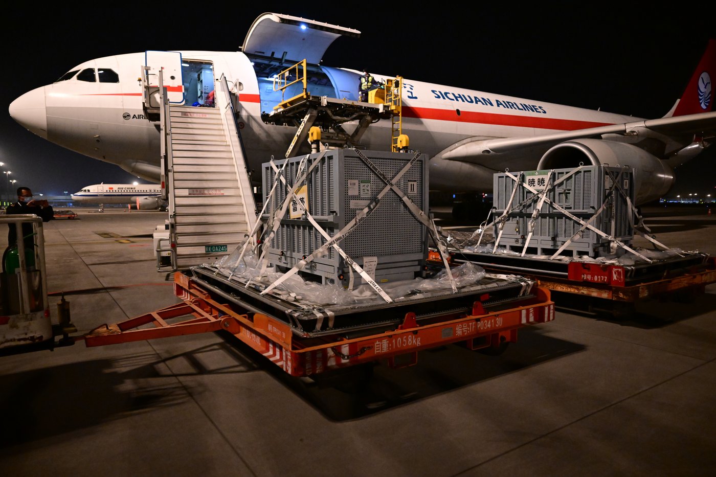 Japan's last pair of pandas have arrived back in China | iNFOnews.ca Japan's last pair of pandas have arrived back in China | iNFOnews.ca