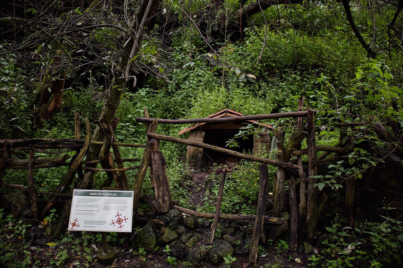 Experts lead tours uncovering Mexico’s hidden ancient sites | iNFOnews.ca Experts lead tours uncovering Mexico’s hidden ancient sites | iNFOnews.ca