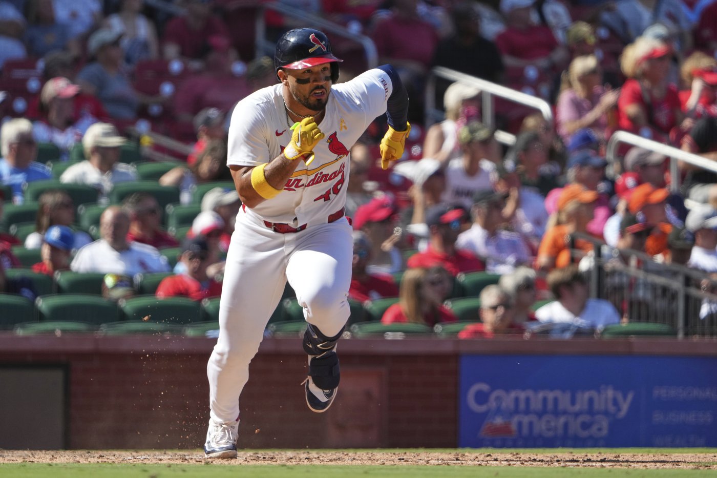 Gray takes no-hit bid into 6th as Cards beat Giants 4-3 Sunday | iNFOnews.ca Gray takes no-hit bid into 6th as Cards beat Giants 4-3 Sunday | iNFOnews.ca