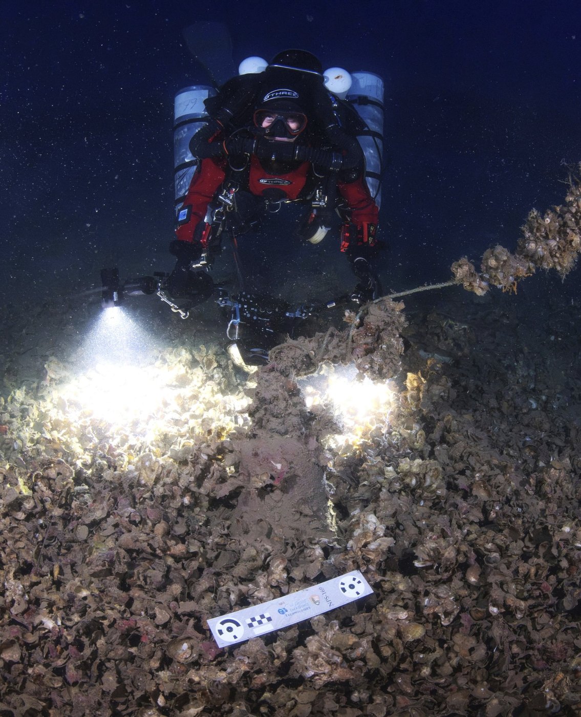 Divers recover artifacts from the Titanic's sister ship Britannic for the first time | iNFOnews.ca