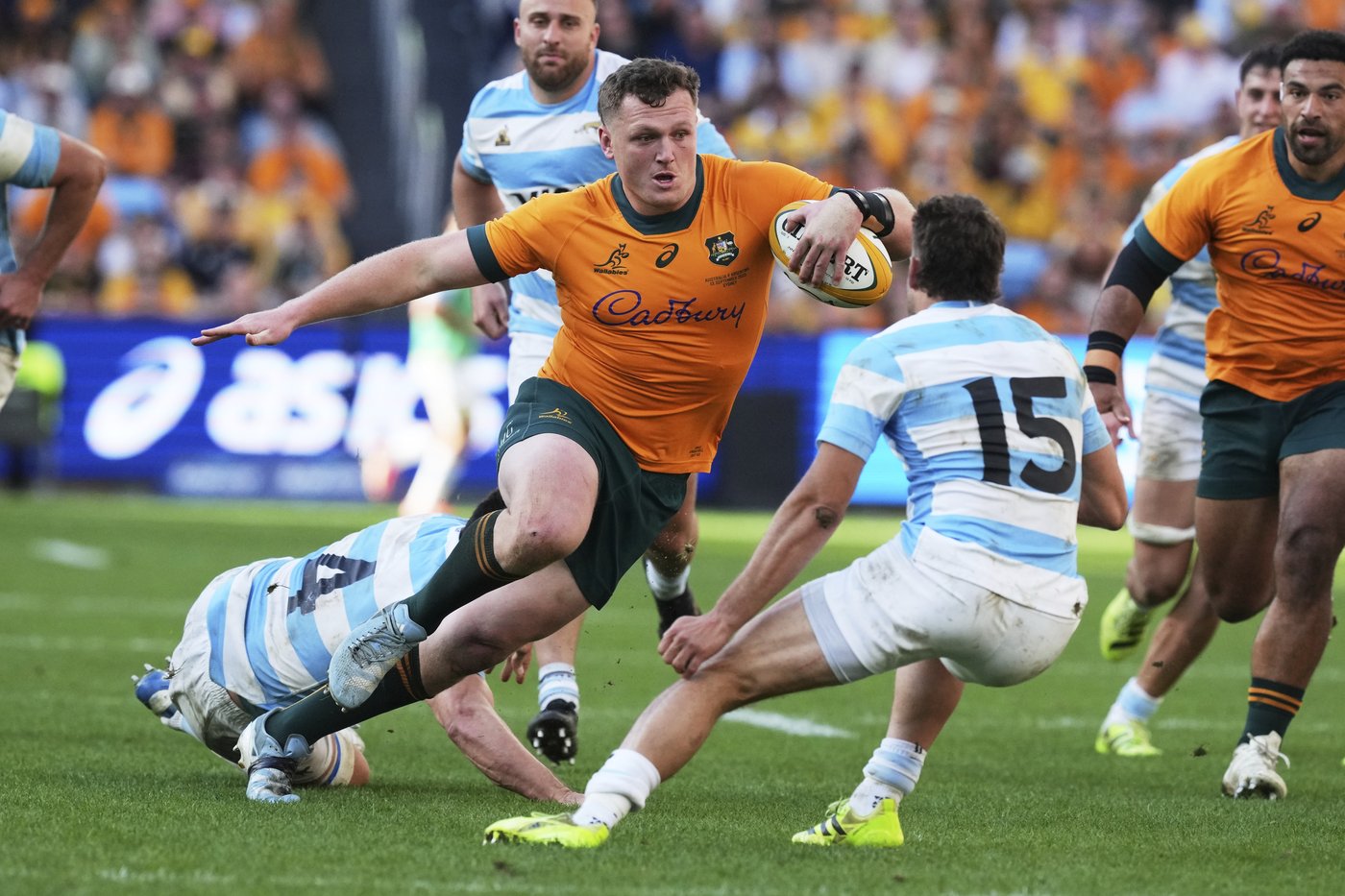 Wallabies see a Bledisloe Cup opportunity as the All Blacks regroup after a record loss | iNFOnews.ca