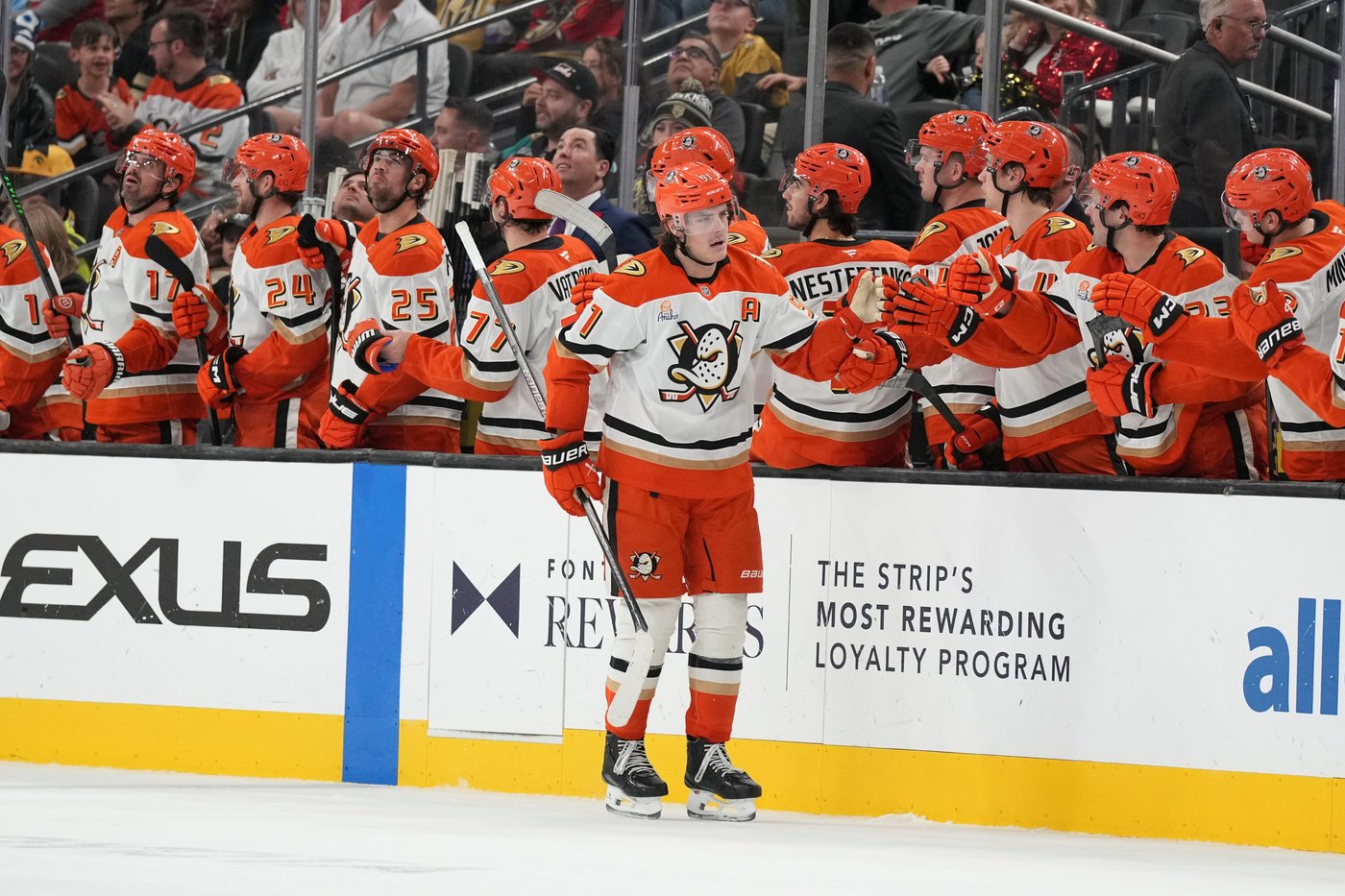 High-flying Anaheim Ducks impressing early with surprise start to NHL season | iNFOnews.ca