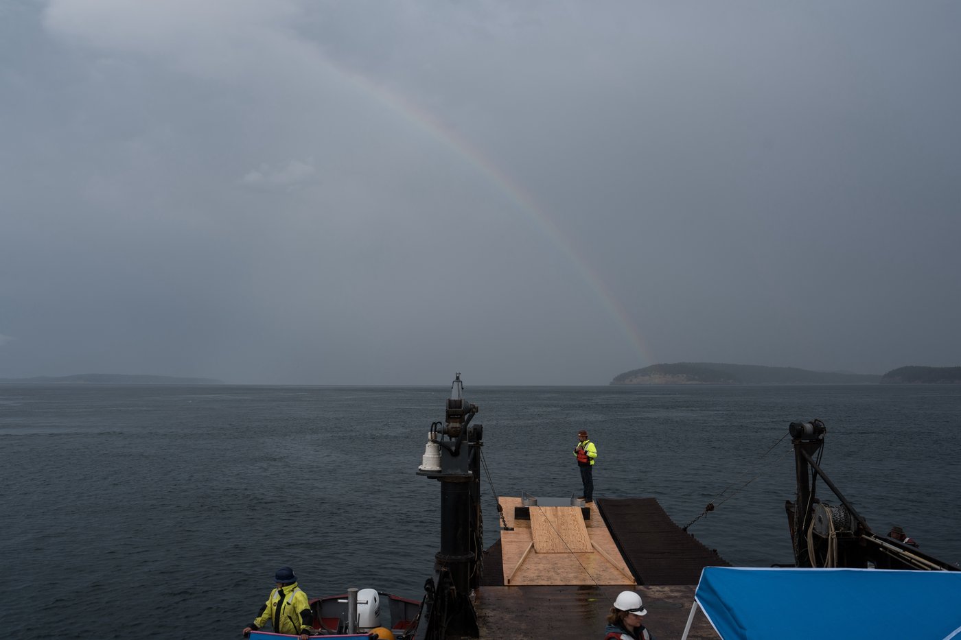Scientists hope underwater fiber-optic cables can help save endangered orcas | iNFOnews.ca Scientists hope underwater fiber-optic cables can help save endangered orcas | iNFOnews.ca